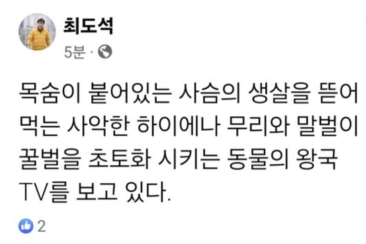 머니투데이