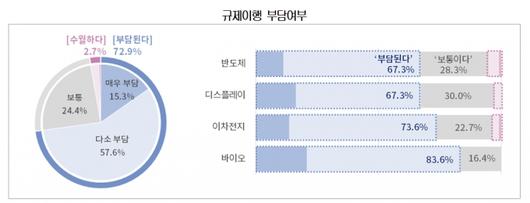 머니투데이