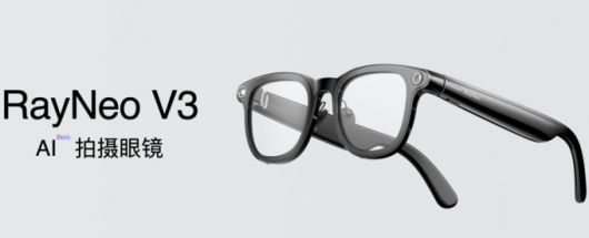 레이네오의 V3/사진=AI비전컴퓨팅닷컴