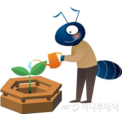 머니투데이