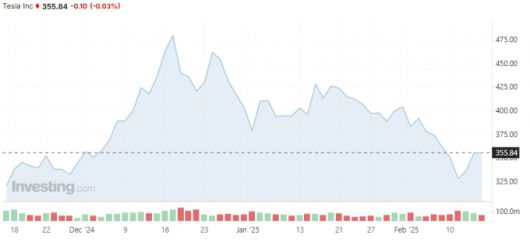 14일(현지시간) 기준 미국 뉴욕증시의 테슬라 주가 추이 /사진=인베스팅닷컴