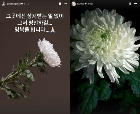 머니투데이