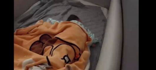 끙끙 앓다가 잠든 모습. 언제나 자는 모습은 사랑스럽다. /사진=최우영 기자