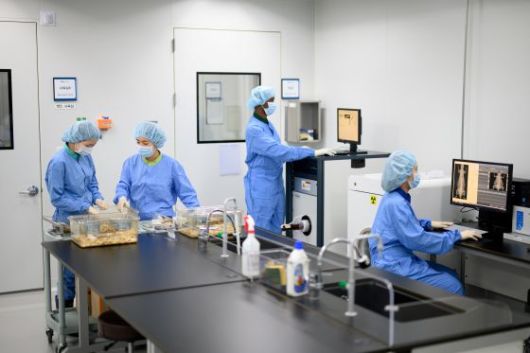 식품기능성평가지원센터에서 동물실험을 진행하고 있는 모습/사진=한국식품산업클러스터진흥원