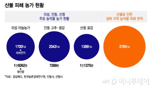 산불 피해 농가 현황. /그래픽=이지혜 기자.