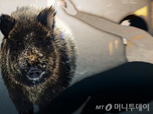 /삽화=임종철 디자인가자