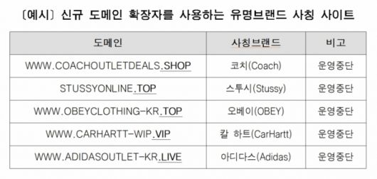 서울시가 적발한. 유명 브랜드 사칭 사이트 /자료=서울시