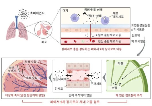 조완섭 동아대 의약생명공학과 교수팀의 연구자료 이미지./사진제공=동아대