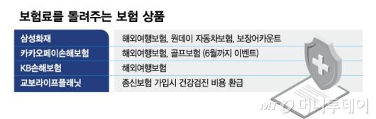 보험료를 돌려주는 보험 상품/그래픽=김현정