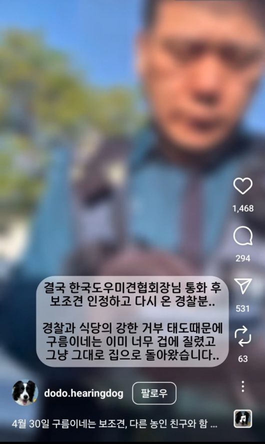 인스타그램 계정 'dodo.hearingdog' 갈무리