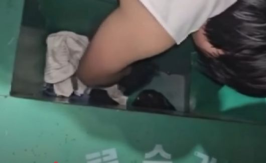 태어난 지 일주일밖에 되지 않은 새끼 강아지들이 헌옷 수거함에서 발견돼 공분을 사고 있다./사진=JTBC 사건반장