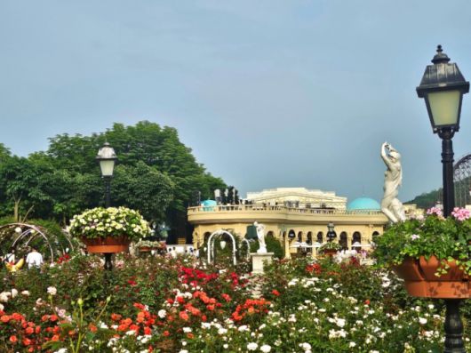 에버랜드 로즈가든 모습/사진=장미성