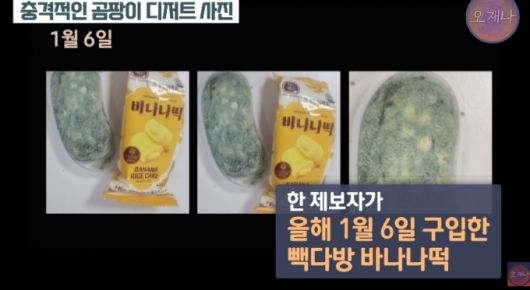 빽다방에서 판매하던 바나나떡 제품에 곰팡이가 피어 있는 모습. /사진=유튜브 채널 스튜디오 오재나 갈무리