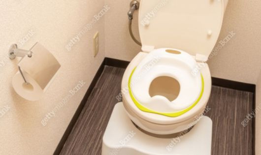 변기에 앉아 무리하게 힘을 주는 습관이 심장마비를 일으켜 급사하게 만들 수 있다는 전문가의 경고가 나왔다. /사진=게티이미지뱅크