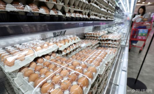 (서울=뉴스1) 박지혜 기자 = 공정거래위원회가 최근 계란값 상승과 관련해 대한산란계협회를 대상으로 조사에 나섰다.  공정위는 16일 공정거래법 위반 혐의로 충북 청주시 오송읍 산란계협회 본부와 경기·충남지회 등에서 현장조사를 진행하고 있다.  공정위는 산란계협회가 자신들이 주도해 발표하는 고시 가격을 회원사가 따르도록 강제했는지 여부를 조사하는 것으로 알려졌다.  사진은 이날 서울의 한 대형마트에 계란이 진열된 모습.  2025.6.16/뉴스1  Copyright (C) 뉴스1. All rights reserved. 무단 전재 및 재배포,  AI학습 이용 금지. /사진=(서울=뉴스1) 박지혜 기자