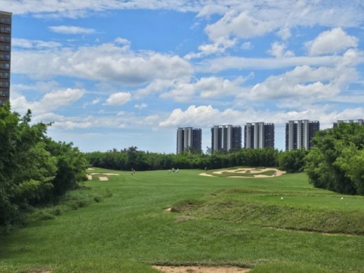 판다와 대나무 모양으로 벙커를 조성한 6번 코스 메도우 링크(Meadow links)/사진=김온유 기자