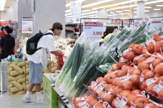서울 시내 한 대형마트에서 시민들이 장을 보고 있다. /사진=뉴스1. /사진=(서울=뉴스1) 김성진 기자