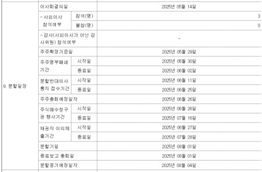 /사진=금융감독원 전자공시