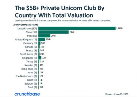 국가별 기업가치 50억달러 이상 유니콘 현황. 2025년 상반기 기준. /사진=크런치베이스 홈페이지 갈무리