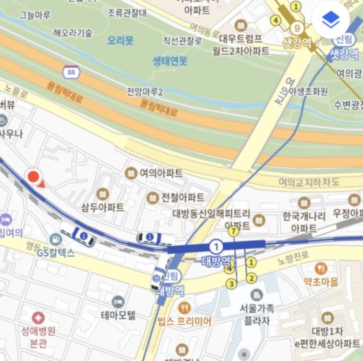 지하철 시간표보다 늦게 역에 도착하는 1호선 열차가 카카오맵 '초정밀 지도'에는 정확히 표시되고 있었다. /사진=카카오맵 캡처