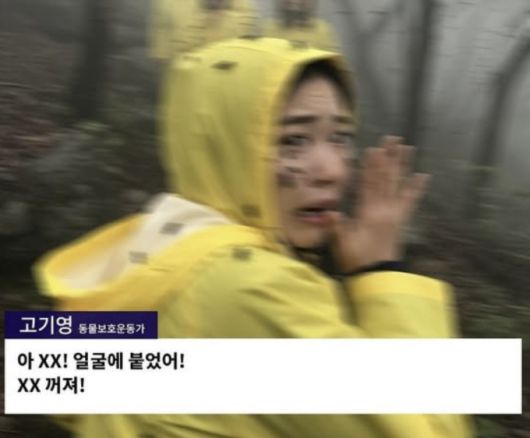 최근 러브버그 학살을 멈춰 달라는 한 동물보호운동가의 인터뷰가 SNS(소셜네트워크서비스) 상에서 화제인 가운데 이 사진은 인공지능(AI)으로 만든 가짜인 것으로 확인됐다./사진=SNS