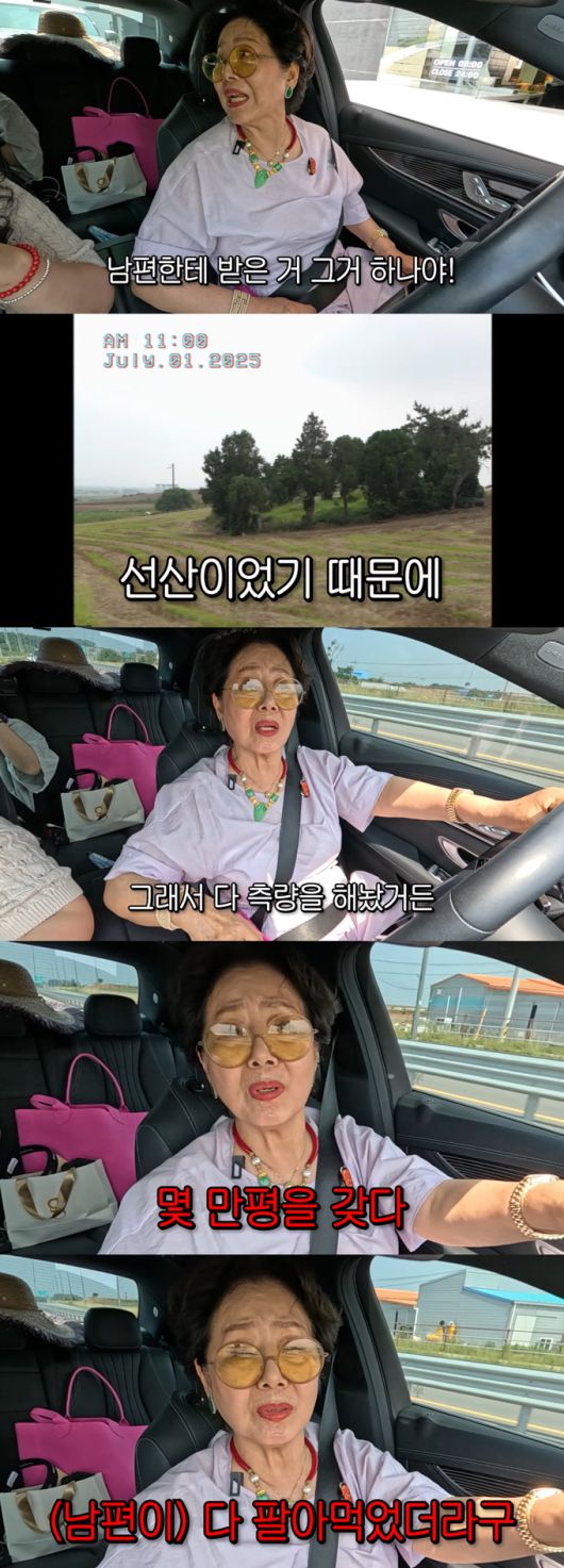 배우 선우용여가 사별 후 남편 유산으로 받은 전남 해남의 땅 900평을 인증했다./사진=유튜브 채널 '순풍 선우용여' 영상