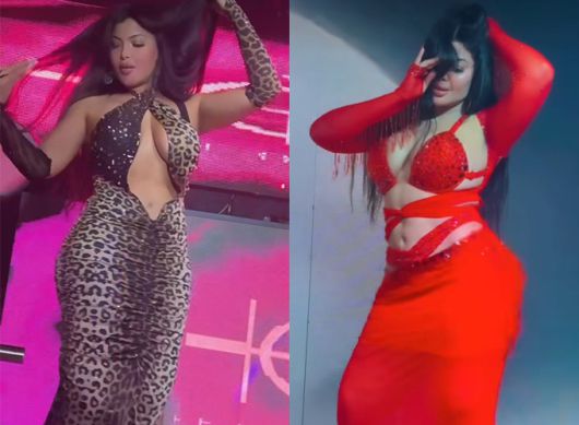 220만 팔로워를 보유한 유명 벨리댄서 린다 마르티노가 이집트 당국에 체포됐다./사진=린다 마르티노 인스타그램