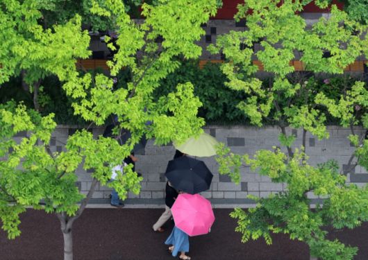 기사의 이해를 돕기 위한 자료 사진. /사진=뉴시스