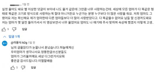개그맨 이용식이 딸 이수민의 육아 유튜브에 악성 댓글이 달리자 직접 댓글을 달았다. /사진=유튜브 댓글 캡처