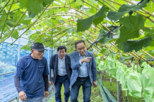 18일 경기도 남부 소재 농가를 방문한 이찬우 NH농협금융지주 회장(오른쪽에서 첫 번째)과 안산농협 박경식 조합장(오른쪽에서 두 번째)이 애로사항을 청취하고 있는 모습. /사진제공=NH농협금융지주