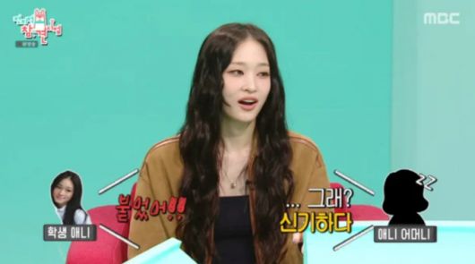 MBC '전지적 참견 시점'