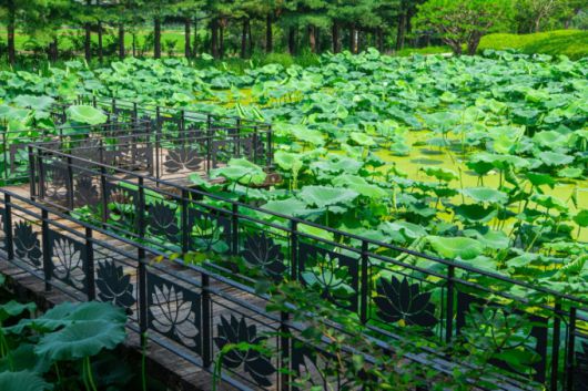 안성시 서일농원./사진제공=경기관광공사