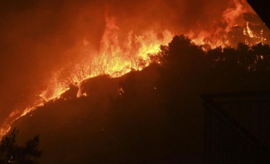 12일(현지 시간) 그리스 서부 파트라 인근 카미니아 마을 나무들이 산불에 휩싸여 있다. /AP=뉴시스