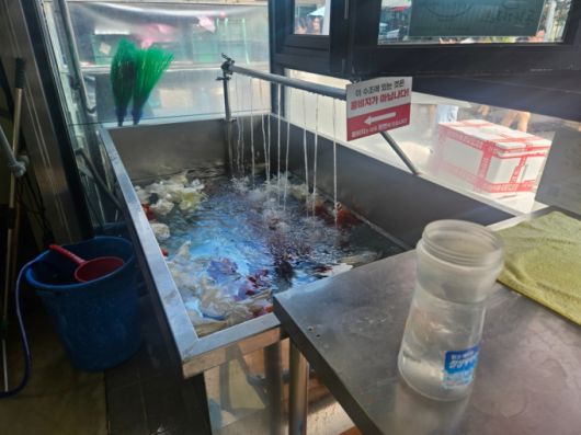 2일 정오쯤 강릉의 한 초당순두부집 모습. 판매용 순두부를 관리하기 위해 물을 틀어놨다./사진=박상혁 기자.