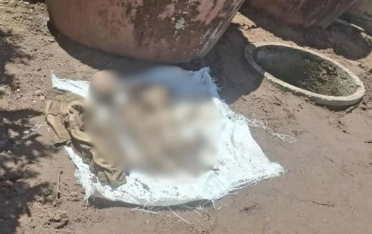 태국의 한 여성이 3년 전 실종된 60대 남편의 유해를 집 뒤편 정화조에서 발견한 사건이 발생했다. /사진=타이거 캡처