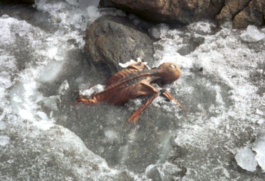 1991년 9월 19일. 해발 3210m의 알프스 산맥의 빙하지대 '외츠탈'을 오르던 독일인 등반가 에리카·헬무트 시몬 부부가 하산 중 얼음에 묻힌 채 상반신만 드러난 시신을 발견했다. 자연 냉동 미라 상태의 이 시신은 5300여 년 전 초기 청동기 시대를 살았던 인간으로 확인됐으며, 외치'(Otzi)라는 이름이 붙었다./사진=이탈리아 남티롤 고고학 박물관 홈페이지