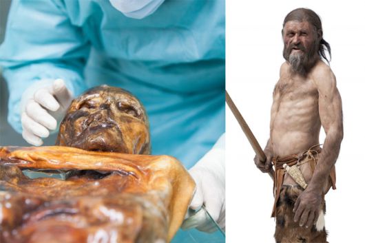 1991년 9월 19일. 해발 3210m의 알프스 산맥의 빙하지대 '외츠탈'을 오르던 독일인 등반가 에리카·헬무트 시몬 부부가 하산 중 얼음에 묻힌 채 상반신만 드러난 시신을 발견했다. 자연 냉동 미라 상태의 이 시신은 5300여 년 전 초기 청동기 시대를 살았던 인간으로 확인됐으며, 외치'(Otzi)라는 이름이 붙었다. 오른쪽은 현대 3D 스캐닝 기술을 활용해 복원한 외치의 모습. /사진=이탈리아 남티롤 고고학 박물관 홈페이지