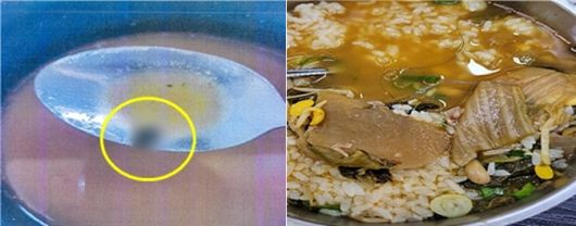 2022년 7월 문경휴게소 라면에서 발견된 파리(왼쪽)와 2023년 10월 안성휴게소 국밥에서 발견된 노끈./사진=정희용 의원실 제공