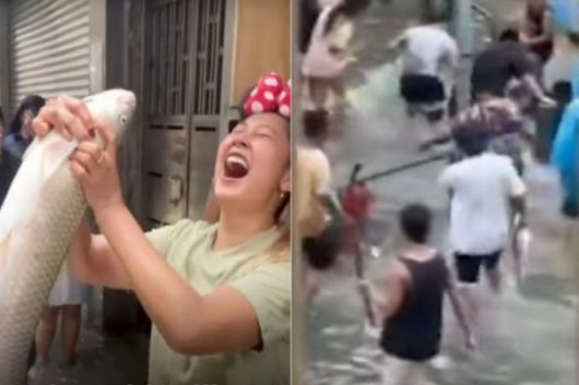 초대형 태풍 '라가사'가 지나간 뒤 무릎까지 바닷물이 차오른 마카오 도심에서 주민들이 물고기를 잡는 진풍경이 펼쳐졌다./사진=유튜브