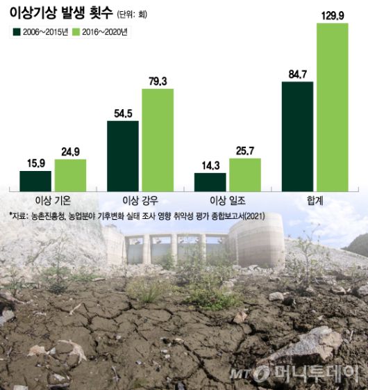 이상기상 발생 횟수/그래픽=이지혜