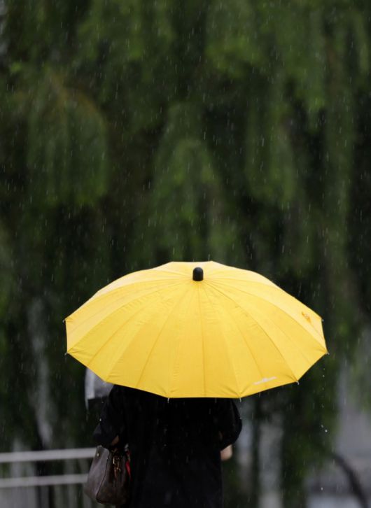 가을비가 내린 28일 서울 서초구 세빛섬 인근에서 시민들이 우산을 쓰고 발걸음을 재촉하고 있다. /사진=뉴시스