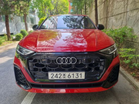 아우디 Q8 55 TFSI 콰트로. /사진=강주헌 기자
