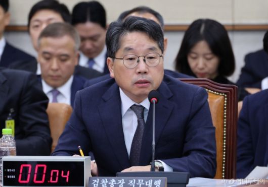 노만석 검찰총장 직무대행/사진=뉴시스