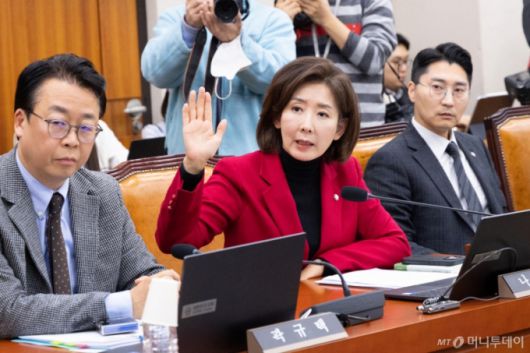 (서울=뉴스1) 이승배 기자 = 나경원 국민의힘 의원이 11일 서울 여의도 국회에서 열린 제429회국회(정기회) 법제사법위원회 제13차 전체회의에서 발언권을 신청하고 있다. 2025.11.11/뉴스1  Copyright (C) 뉴스1. All rights reserved. 무단 전재 및 재배포,  AI학습 이용 금지. /사진=(서울=뉴스1) 이승배 기자