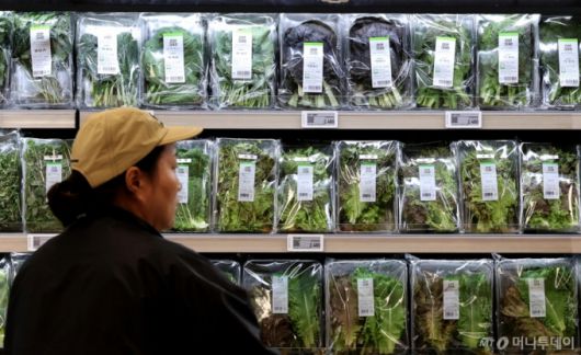 한국은행이 발표한 9 생산자물가지수가 전월 대비 0.4% 오르며 한 달 만에 상승세로 전환됐다. 농림수산품은 전월 대비 0.4% 오르며 품목별로 상추 38.9%, 쌀 4.7%, 쇠고기 6.9%, 돼지고기 3.3%가 올랐다. 사진은 22일 서울 시내 한 마트에 상추가 진열돼 있다. 2025.10.22/사진=뉴스1  Copyright (C) 뉴스1. All rights reserved. 무단 전재 및 재배포,  AI학습 이용 금지.