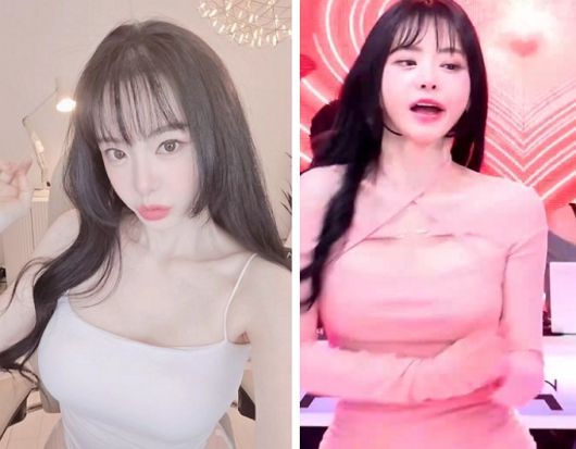 성우 겸 방송인 서유리가 최근 진행한 악플러 상대 소송에서 승소한 뒤 공식 입장을 밝혔다. /사진=서유리 인스타그램, '숲' 방송 캡처