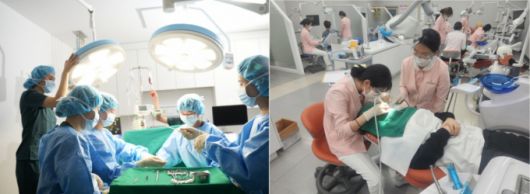 대구과학대 간호학과(왼쪽 사진)와 치위생과 학생들이 실습하고 있다./사진제공=대구과학대