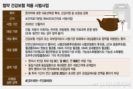 첩약 건강보험 적용 시범사업/그래픽=조수아