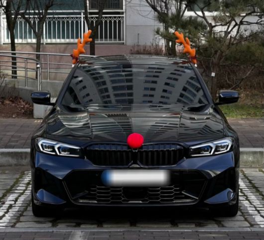 시민 A씨가 루돌카 장식품 판매 사이트에 올린 후기 사진. A씨는 "초등학생들이 루돌카를 보고 좋아해준다"라고 했다. /사진=온라인 판매사이트 캡처.