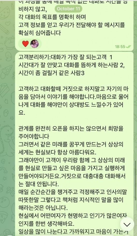 범죄단체는 채터들이 재력과 미모를 갖춘 젊은 여성으로 위장할 수 있게끔 사칭 여성의 신상정보, 사진, 대본을 준비한 것으로 조사됐다. /사진제공=보이스피싱 범죄 정부합동수사단.